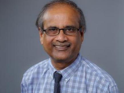 Partha Lahiri